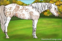 Horse Color:White Spotted Silver Bay Ice 
