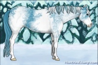 Horse Color:Watercolor White Spotted Black 