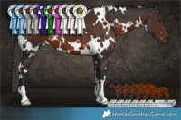 Horse Color:White Spotted Liver Chestnut 