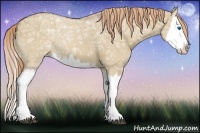 Horse Color:Red Dun Ice Splash 