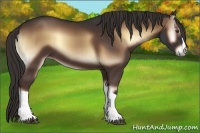 Horse Color:Liver Red Onyx 