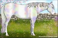 Horse Color:Gray Nacre Silver Buckskin Pearl Sabino Splash