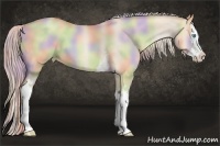 Horse Color:Nacre White Spotted Palomino Pearl Splash