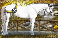 Horse Color:Chocolate Palomino Blanket