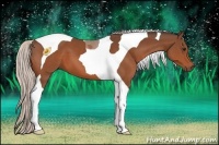 Horse Color:Silver Bay Tobiano