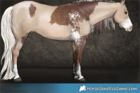 Horse Color:White Spotted Chocolate Buckskin Mushroom Sabino and Liver Red Dun Pearl Mushroom Sabino Brindle