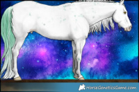 Horse Color:Watercolor Brown Sabino 