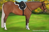 Horse Color:Silver Bay