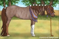 Horse Color:Red Roan Rabicano 