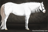 Horse Color:White Spotted Smoky Black Varnish 