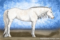 Horse Color:Perlino Sabino  and Perlino Sabino 