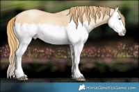 Horse Color:White Spotted Smoky Black Pearl Splash