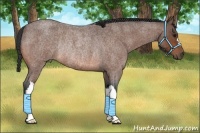 Horse Color:Bay Roan Rabicano 
