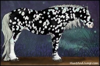 Horse Color:Watercolor Chocolate Palomino Onyx Appaloosa 