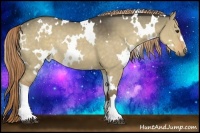 Horse Color:White Spotted Liver Red Dun Rabicano 