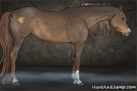 Horse Color:Liver Chestnut Sabino 
