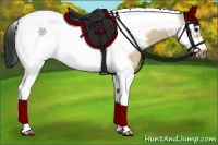 Horse Color:Bay Roan Dun Splash Tobiano Frame