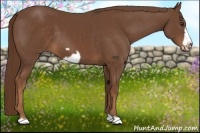 Horse Color:Chestnut Frame 