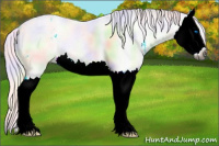 Horse Color:Gray Nacre Liver Red Dun Splash