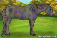 Horse Color:Nacre Smoky Black 