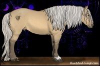 Horse Color:Silver Buckskin Dun 