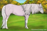 Horse Color:Watercolor Silver Amber Cream Champagne Dun Splash