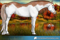 Horse Color:Chestnut Splash Frame 