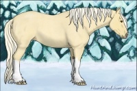Horse Color:Palomino Roan Dun
