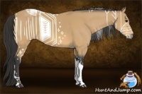 Horse Color:Buckskin Tobiano and Buckskin Tobiano