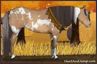 Horse Color:White Spotted Amber Champagne 