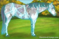 Horse Color:Nacre Thunderstruck Blue Ice Roan Splash 