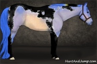 Horse Color:Watercolor Buckskin Tobiano Rabicano 