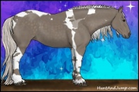 Horse Color:Silver Smoky Black Tobiano