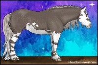 Horse Color:Silver Black Splash 