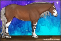 Horse Color:Silver Bay Sabino 