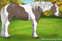 Horse Color:Silver Black Splash Tobiano