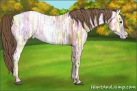 Horse Color:Black Ice Pearl 