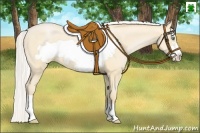 Horse Color:Silver Buckskin Pearl Frame 