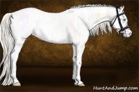 Horse Color:Cremello Ice Tobiano 