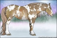 Horse Color:White Spotted Chocolate Palomino Sabino 