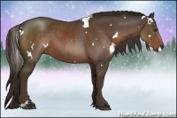 Horse Color:White Spotted Liver Chestnut Rabicano 