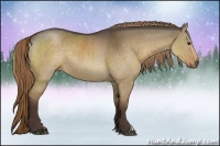 Horse Color:Liver Red Dun Rabicano