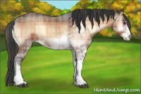 Horse Color:Plaid  Bay Onyx Sabino Rabicano 