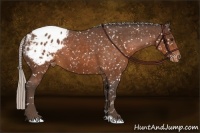 Horse Color:Silver Brown Sabino Blanket 