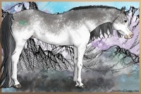 Horse Color:White Spotted Blue Roan Rabicano 