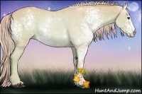 Horse Color:Watercolor White Spotted Palomino 