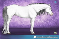 Horse Color:White Spotted Brown Onyx Mushroom Sabino Near Fewspot