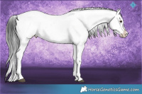 Horse Color:White Spotted Brown Onyx Mushroom Sabino Appaloosa 