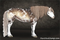 Horse Color:Liver Red Onyx Sabino Splash Rabicano