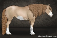 Horse Color:Liver Chestnut Pearl Sabino 